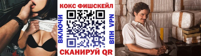 Купить закладки  Кондопога  COCAIN Fish Scale 