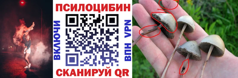 Купить  Кондопога  Галлюциногенные грибы ЛСД 